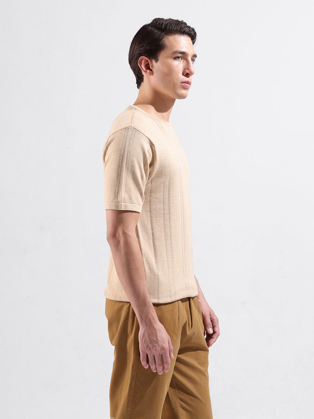 Men's Beige Slim Fit Textured Flat Knit Polo Collar T-Shirt